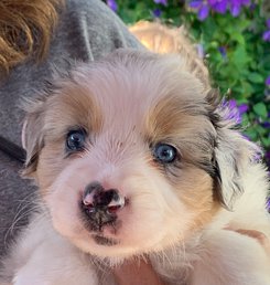 AEA3716A-5662-4CE5-9431-BA84CD7E616A